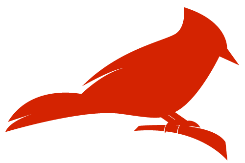 Hidden Logo